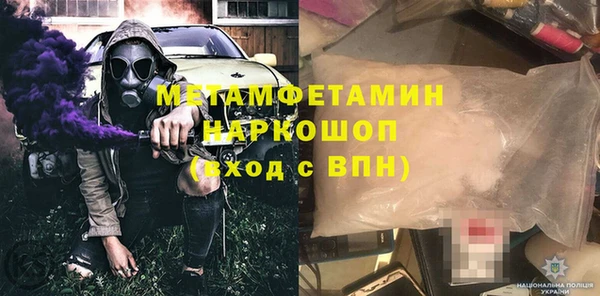 прущие грибы Верхний Тагил